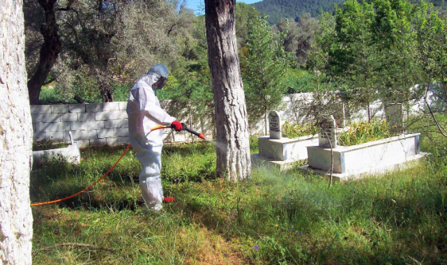 Mezarlıklarda Ramazan temizliği