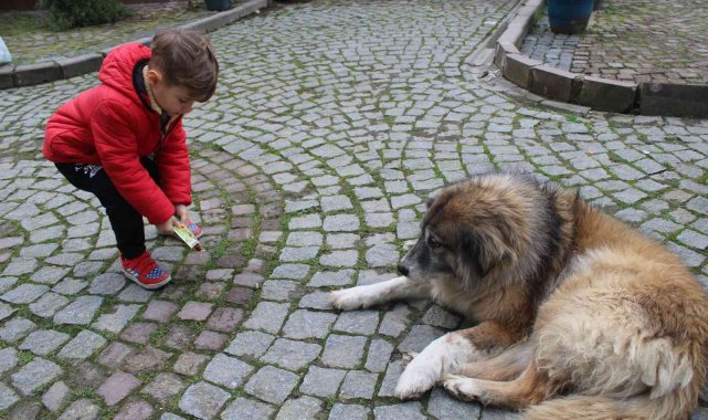 Minik Ömer, her market alışverişinde sokak hayvanlarını unutmuyor
