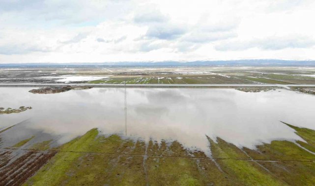 Muş Ovasındaki bazı tarım arazileri ve hayvan çiftlikleri su altında kaldı