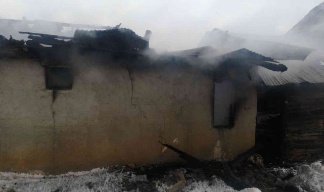 Müstakil evde çıkan yangında 1 kişi hayatını kaybetti