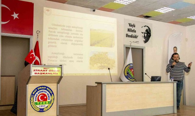 Mut&#039;ta üreticilere Antep Fıstığı Yetiştiriciliği eğitimi verildi