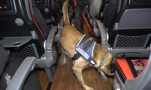 Narkotik köpeği &#039;Tepe&#039; uyuşturucu madde buldu