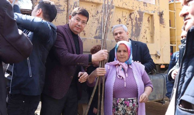 Nazilli Belediyesi'nden üreticilere 10 bin kestane fidanı