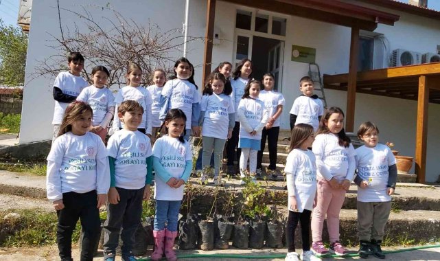 Öğrenciler Datça'da 25 adet harnup fidanı dikti