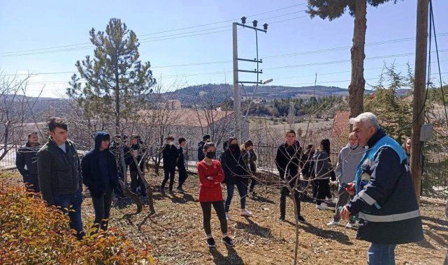 Öğrencilere meyve bahçelerinde bakım, budama ve gübreleme eğitimi