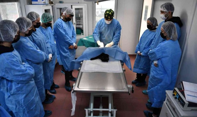 Öğrencilere uygulamalı veterinerlik eğitimi