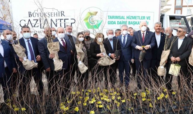 Oğuzeli&#039;nde çiftçiye 15 bin nar ve 10 bin Antep fıstığı fidanı dağıtıldı