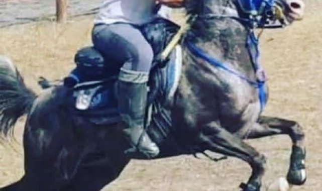 Önal, Cirit il temsilciliğine getirildi