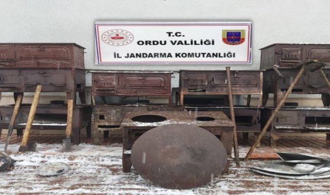 Ordu'da evden hırsızlık şüphelileri yakalandı