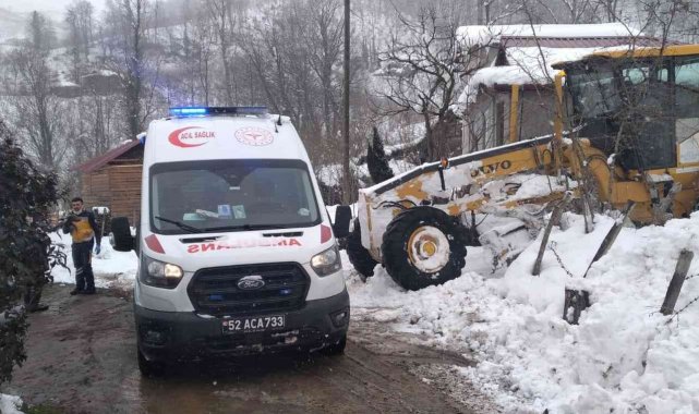 Ordu'da kar mücadelesi