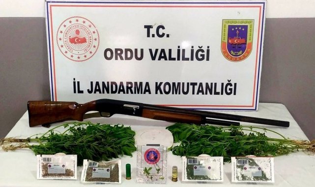 Ordu&#039;da uyuşturucu mücadelesi sürüyor