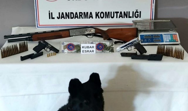 Ordu'da uyuşturucu mücadelesi