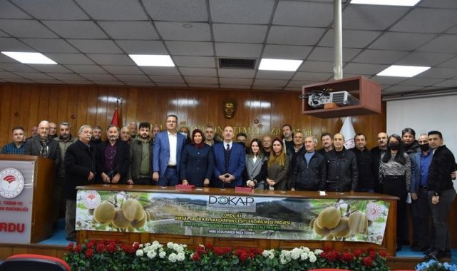 Ordu&#039;ya yeni kivi üretim alanları kazandırılıyor