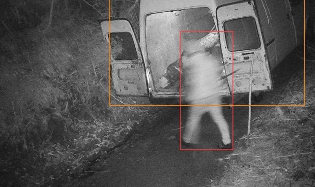 Ormandan kaçak tomruk kesen kişi fotokapana yakalandı