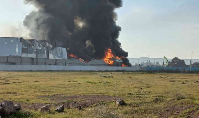 Osmaniye'de geri dönüşüm fabrikasında yangın
