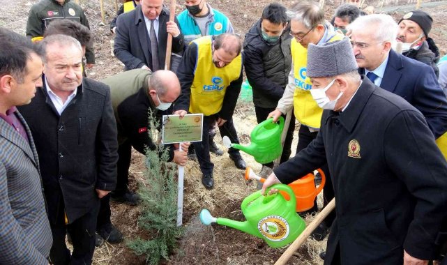 Osmaniye'de Güney Kore-Türkiye Dostluk Ormanı kuruldu