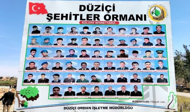 Osmaniye'de "Şehitler Ormanı" oluşturuldu