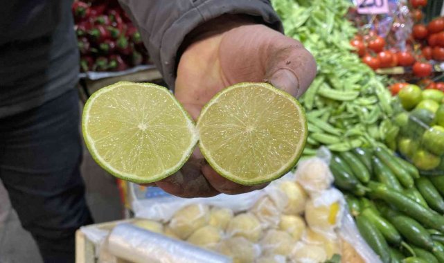 Oteller kasa kasa alıyor, lime limonuna talep yoğun