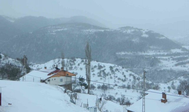 Posof&#039;ta kar ve tipi okulları kapattı