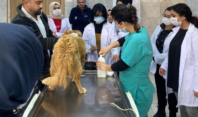 Rehabilitasyon merkezinde öğrenciler ders görecek