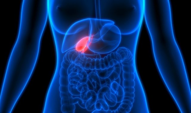 Safra kesesinde oluşan taşlara dikkat!