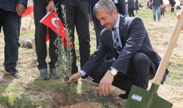 Şahinbey'de 3 milyon 968 bin fidan toprakla buluşturuldu