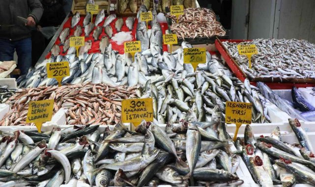 Samsun&#039;da balık fiyatları arttı