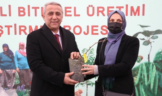 Samsun'da kivi üretiminde hedef 4 yılda 1. sıraya yerleşmek