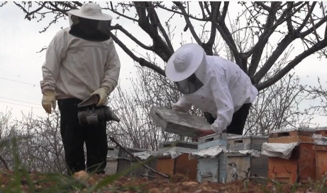 Şanlıurfa bal ve badem üretiminde çıtayı yükseltti