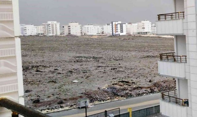 Şanlıurfa'da dolu ve yağmur etkili oldu