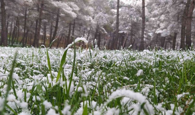 Şanlıurfa&#039;da mart ayında kar