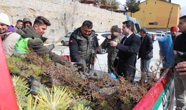 Sarıveliler ilçesinde vatandaşlara fidan dağıtıldı