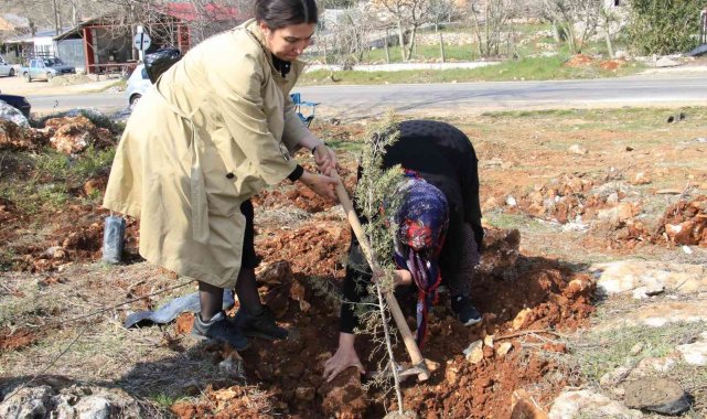 Şehitler adına iki orman kuruldu, ilk fidanları aileleri dikti