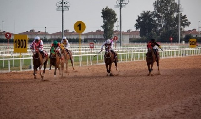 Seyhan Belediye Başkanlığı Koşusu'nu Toramankaya kazandı
