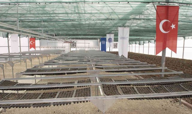 Seyhan destekliyor, kadınları üretip kazanıyor