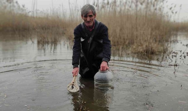 Şifalı sülük avcısı buz gibi suyun içinde saatlerce sülük arıyor