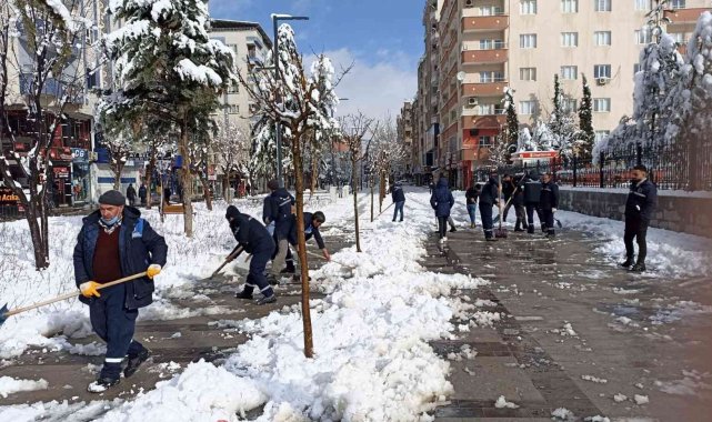Siirt'te karla mücadele çalışmaları devam ediyor