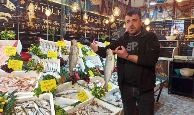 Siirtli balıkçılar balığa ilgiden memnun