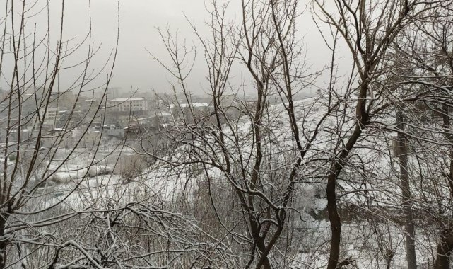 Silvan'da kar yağışı hayatı olumsuz etkiledi