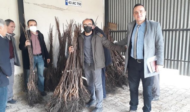Simav'da çiftçilere 4 bin 800 adet ceviz fidanı dağıtıldı