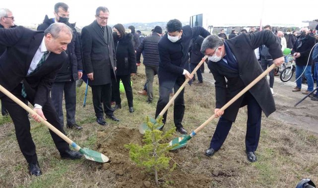 Sinop&#039;ta 400 fidan toprakla buluştu