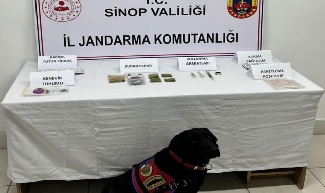 Sinop'ta iki ayrı uyuşturucu operasyonu