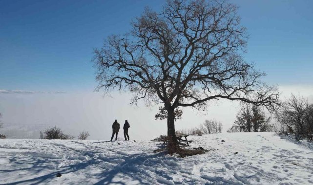 Sis, güneş ve yeşilin ahenkle dansı