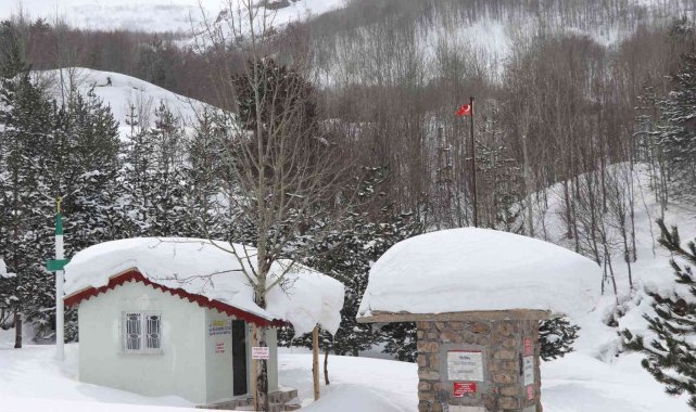 Sivas&#039;ta zemheri bahar, hayat buz tuttu