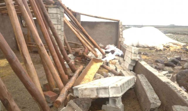 Siverek'te çöken ahırda 7 koyun telef oldu