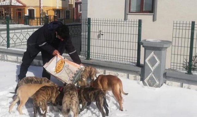 Sokak hayvanları için mama ve yem bırakıldı