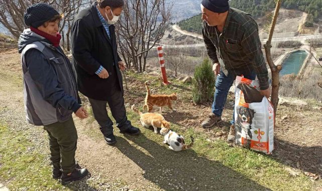 Sokak hayvanları unutulmadı,1 ton mama doğaya bırakıldı