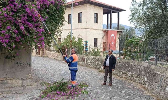 Sürücülere engel ağaçlar budanıyor