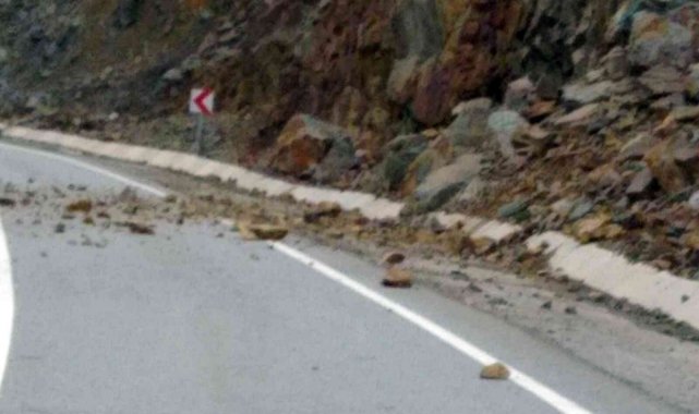 Sürücünün dikkati faciayı engelledi