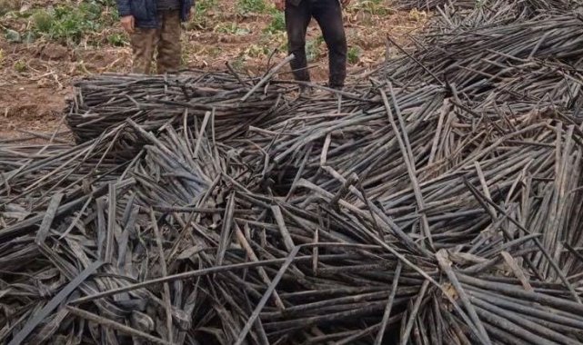 Tarladaki sulama borularını çalarken suçüstü yakalandılar